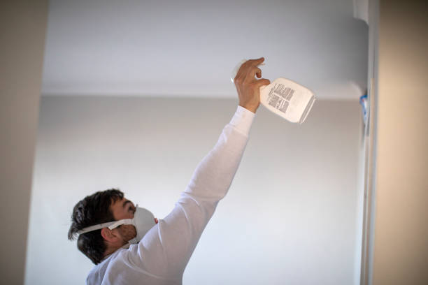 Best Crawl Space Mold Removal  in Maynardville, TN