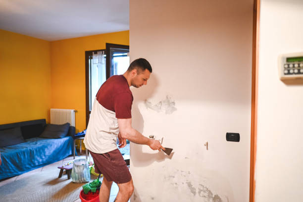 Best Local Mold Removal Service  in Maynardville, TN
